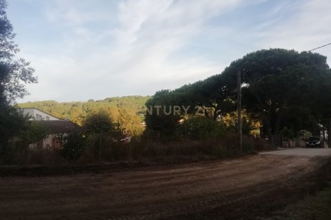 Terreno in vendita a Dosrius, Barcelona, Spagna N° 191605 - foto 6