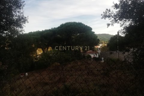 Terreno in vendita a Dosrius, Barcelona, Spagna N° 191605 - foto 5