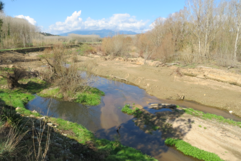 Terreno in vendita a Fogars de la Selva, Barcelona, Spagna N° 191602 - foto 16