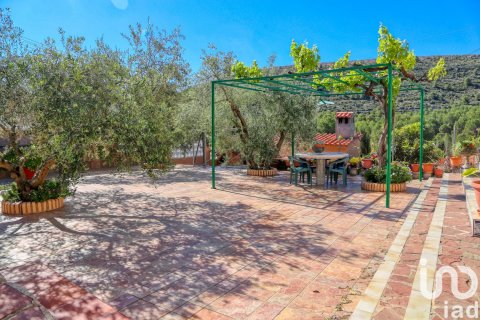 Māja pārdošanā L'Alcora, Castellon, Spānijā 3 istabas, 225 m2 Nr. 154015 - attēls 2