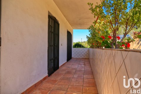 Māja pārdošanā L'Alcora, Castellon, Spānijā 3 istabas, 225 m2 Nr. 154015 - attēls 26