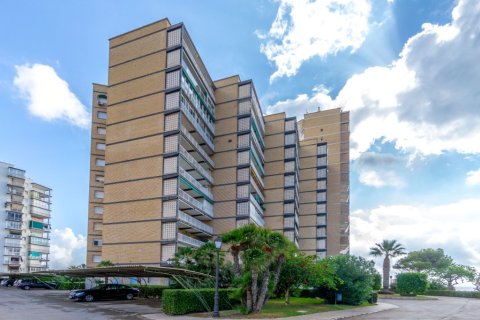 Huoneisto myytävänä Dehesa De Campoamor, Alicante, Espanja, 3 makuuhuonetta, 111 m2 No. 146028 - kuva 22