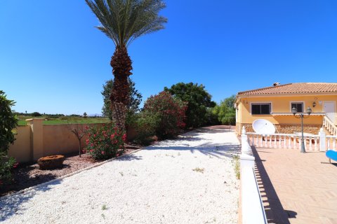 Finca myytävänä Catral, Alicante, Espanja, 3 makuuhuonetta, 235 m2 No. 137710 - kuva 27