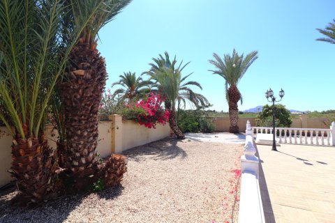 Finca myytävänä Catral, Alicante, Espanja, 3 makuuhuonetta, 235 m2 No. 137710 - kuva 29