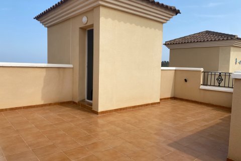 Rindu māja pārdošanā San Miguel de Salinas, Alicante, Spānijā 3 istabas, 147 m2 Nr. 137707 - attēls 29