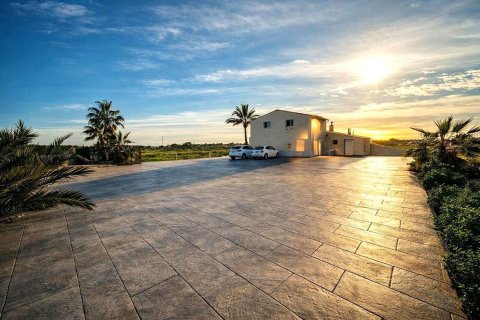 Villa à vendre à Elche, Alicante, Espagne, 4 chambres, 326 m2 No. 180746 - photo 15