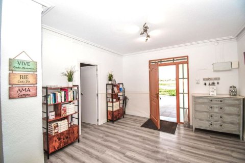 Villa à vendre à Elche, Alicante, Espagne, 4 chambres, 326 m2 No. 180746 - photo 4