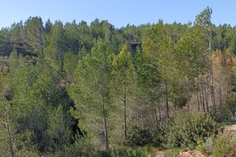 Продажа дома в Л'Аметлья-де-Мар, Таррагона, Испания 4 спальни, 200м2 №153716 - фото 19