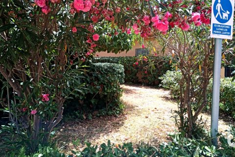 Oficina en venta en Palmanova, Mallorca, España 6 dormitorios, 194 m2 No. 153717 - foto 26