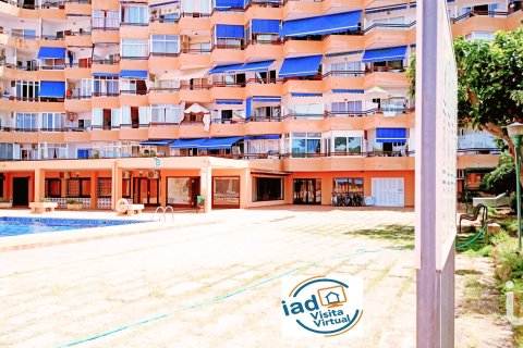 Oficina en venta en Palmanova, Mallorca, España 6 dormitorios, 194 m2 No. 153717 - foto 9