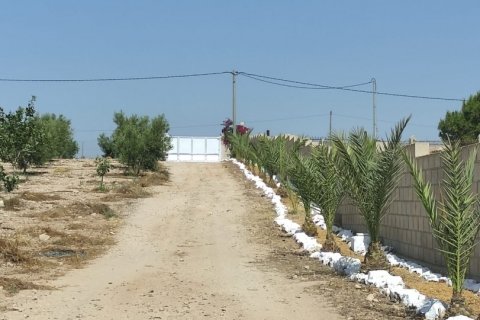 House zum Verkauf in Lorca, Murcia, Spanien 5 Schlafzimmer, 250 m2 Nr. 153718 - Foto 7