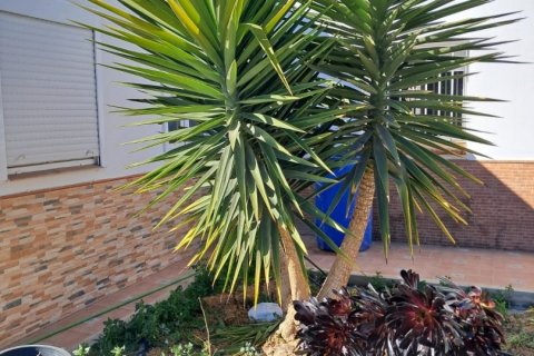 House zum Verkauf in Lorca, Murcia, Spanien 5 Schlafzimmer, 250 m2 Nr. 153718 - Foto 12