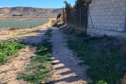 House zum Verkauf in Lorca, Murcia, Spanien 5 Schlafzimmer, 250 m2 Nr. 153718 - Foto 14