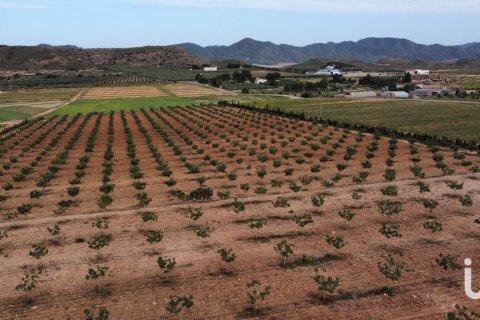 House zum Verkauf in Lorca, Murcia, Spanien 5 Schlafzimmer, 250 m2 Nr. 153718 - Foto 29