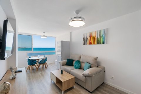 Appartamento in vendita a Torrevieja, Alicante, Spagna 1 camera da letto, 34 mq. N° 183582 - foto 6