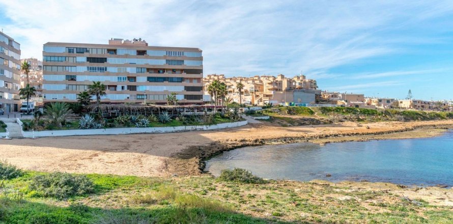 Appartamento a Torrevieja, Alicante, Spagna 1 camera da letto, 34 mq. N° 183582