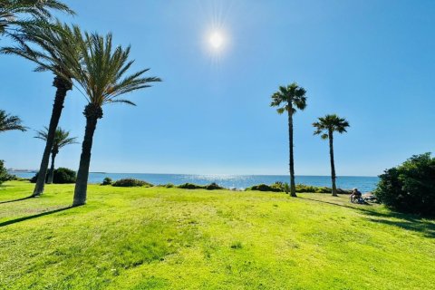 Apartment for sale in Torrevieja, Alicante, Spain 2 bedrooms, 60 sq.m. No. 183580 - photo 13