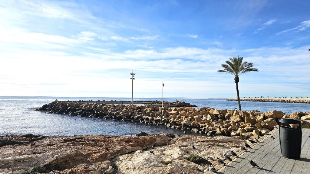 Apartament w Torrevieja, Alicante, Hiszpania 1 sypialnia, 50 mkw. nr 183578