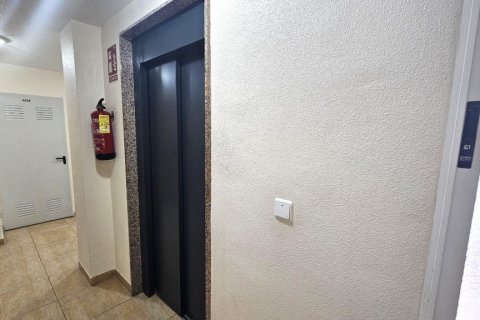 Apartment for sale in Torrevieja, Alicante, Spain 1 bedroom, 50 sq.m. No. 183578 - photo 12