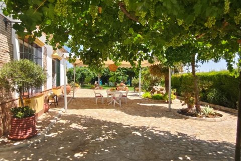 House à vendre à Ecija, Seville, Espagne, 3 chambres, 370 m2 No. 187547 - photo 10