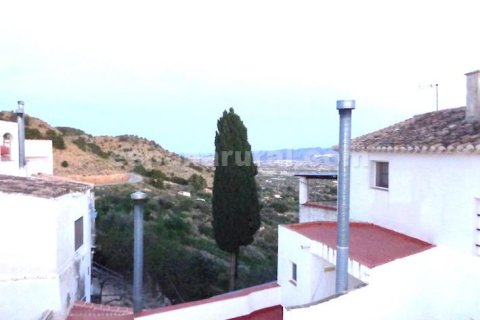 House for sale in Somontin, Almeria, Spain 7 bedrooms, No. 184104 - photo 15