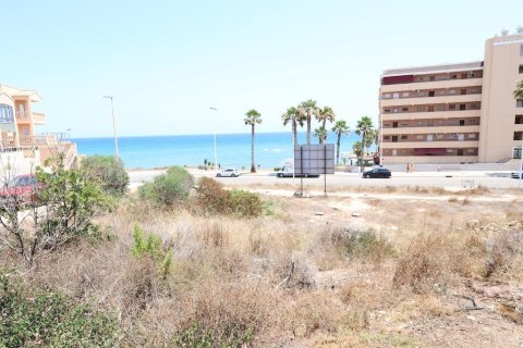 Tomt till salu i Torrevieja, Alicante, Spanien Nr. 181861 - foto 4