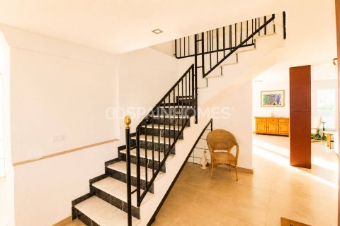 Продажа виллы в Ориуэла, Аликанте, Испания 5 спален, 329м2 №177909 - фото 17