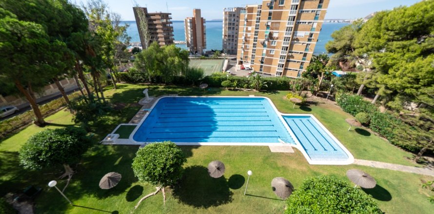 Lägenhet Alicante, Spanien 2 sovrum, 111 kvm. Nr. 133052