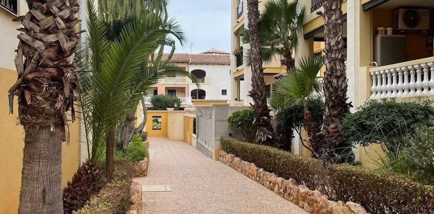 Penthouse Torrevieja, Alicante, Spain 3 bedrooms, 115 sq.m. No. 133050