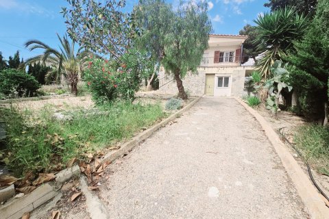 Huoneisto myytävänä Torrevieja, Alicante, Espanja, 4 makuuhuonetta, 150 m2 No. 166038 - kuva 1