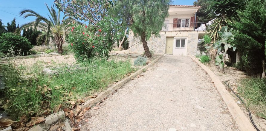 Huoneisto Torrevieja, Alicante, Espanja 4 makuuhuonetta, 150 m2 No. 166038