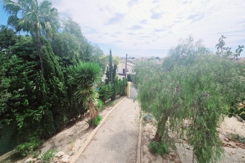 Huoneisto myytävänä Torrevieja, Alicante, Espanja, 4 makuuhuonetta, 150 m2 No. 166038 - kuva 5