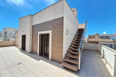 Villa pārdošanā Torreblanca, Castellon, Spānijā 2 istabas, 306 m2 Nr. 166039 - attēls 30