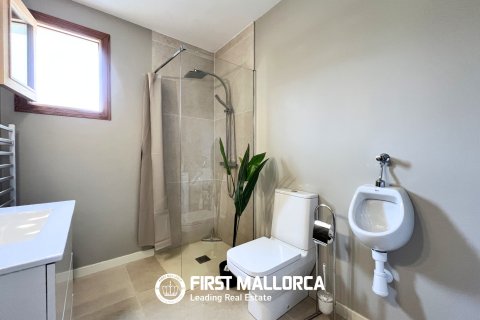 Finca zur Miete in Campos, Mallorca, Spanien 4 Schlafzimmer, 169 m2 Nr. 164862 - Foto 10