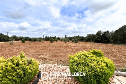 Finca zur Miete in Campos, Mallorca, Spanien 4 Schlafzimmer, 169 m2 Nr. 164862 - Foto 21
