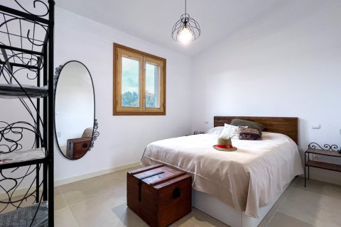Аренда финки в Кампос, Майорка, Испания 4 спальни, 169м2 №164862 - фото 7