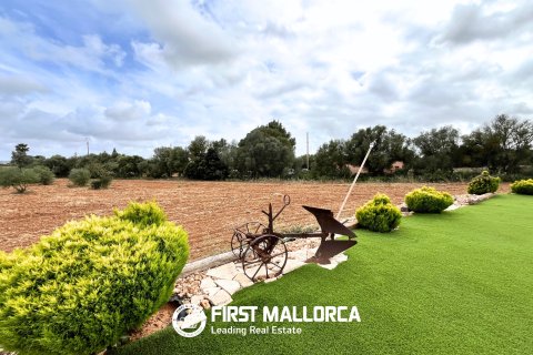 Finca zur Miete in Campos, Mallorca, Spanien 4 Schlafzimmer, 169 m2 Nr. 164862 - Foto 20