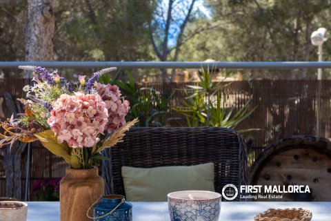 Villa for sale in Mallorca, Spain 4 bedrooms, 275 sq.m. No. 164865 - photo 22