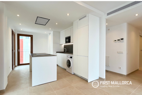 Аренда пентхауса в Пальма-де-Майорка, Майорка, Испания 2 спальни, 75м2 №164863 - фото 6