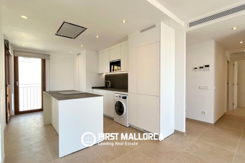 Penthäuser zur Miete in Palma de Majorca, Mallorca, Spanien 2 Schlafzimmer, 75 m2 Nr. 164863 - Foto 11