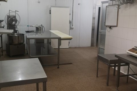 Commercial property for sale in Riudellots de la Selva, Girona, Spain 200 sq.m. No. 153892 - photo 4