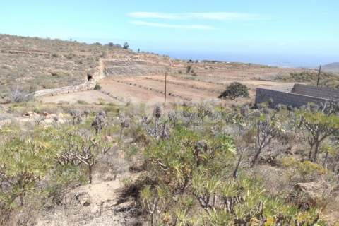 Land plot à Chimiche, Tenerife, Espagne No. 194730