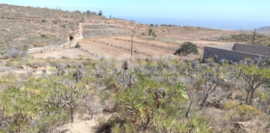 Land plot à Chimiche, Tenerife, Espagne No. 194730