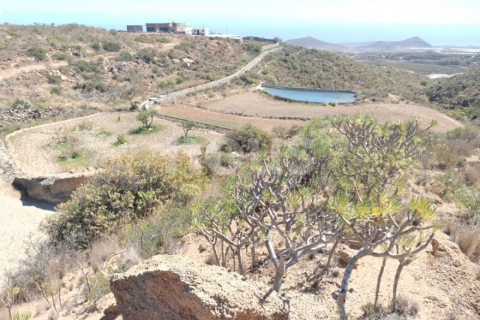 Land plot à vendre à Chimiche, Tenerife, EspagneNo. 194730 - photo 11