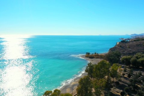 Dzīvoklis pārdošanā Alicante, Spānijā 1 istaba, 70 m2 Nr. 144757 - attēls 30