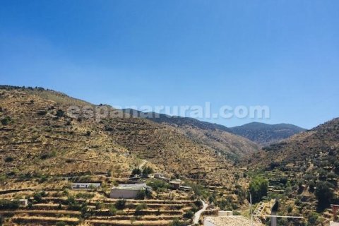 House zum Verkauf in Sierro, Almeria, Spanien 7 Schlafzimmer, 185 m2 Nr. 184121 - Foto 24