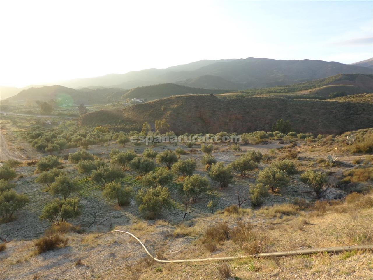 Zemes gabals Purchena, Almeria, Spānijā Nr. 184119