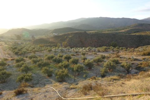 Działka w Purchena, Almeria, Hiszpania nr 184119 – zdjęcie 3