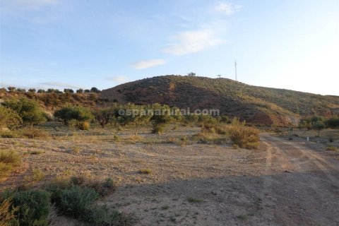 Działka w Purchena, Almeria, Hiszpania nr 184119 – zdjęcie 4