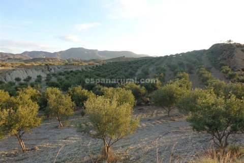 Parcela en Purchena, Almería, España No. 184119